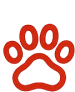 Paws Icon